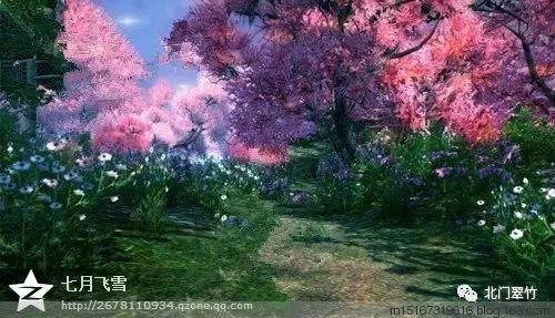 球球大作战下载最新版