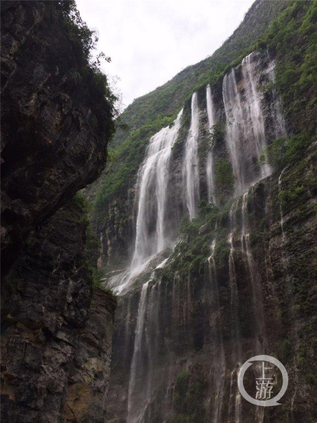 紫色系