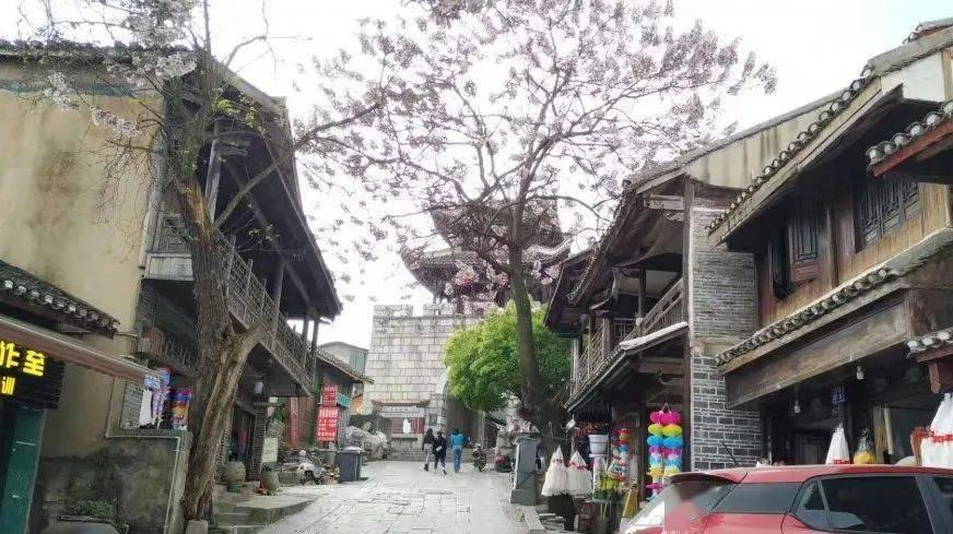 杨幂新采访大翻车！演戏20年还在请表演老师，连导演都忍不住内涵
