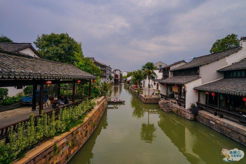 动物帮帮忙保卫家园