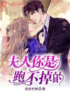 美人鱼的聚会